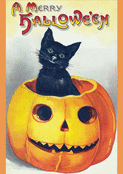 Chat noir espi&egrave;gle dans une citrouille